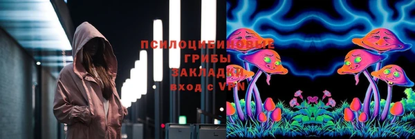 PSILOCYBIN Абаза