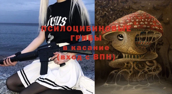 МДПВ Абинск