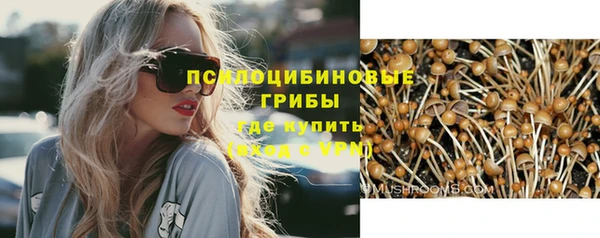 МДПВ Абинск