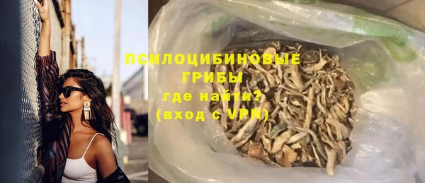 PSILOCYBIN Абаза