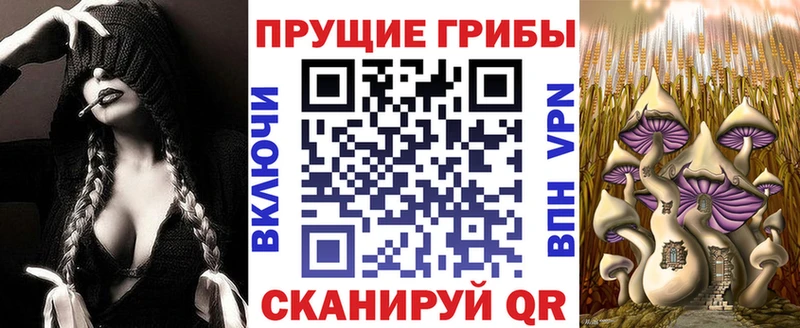 это формула  Карачев  Псилоцибиновые грибы Magic Shrooms 