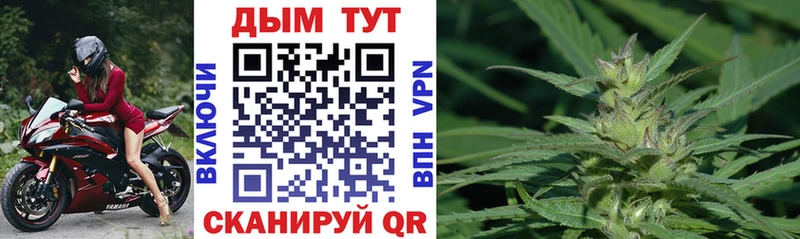 shop официальный сайт  mega ТОР  Карачев  Бошки марихуана планчик 
